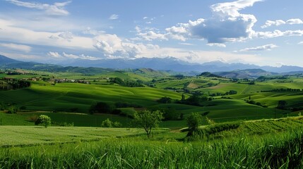 Naklejka premium Beautiful landscape view of green summer forest with spruce and pine trees mountain, lake, river.