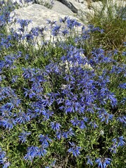 Dinara mountain in Croatia, landscape