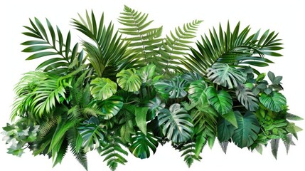 A collection of colorful tropical plants against a clean white background, ideal for use in interior design, travel, or nature-inspired themes