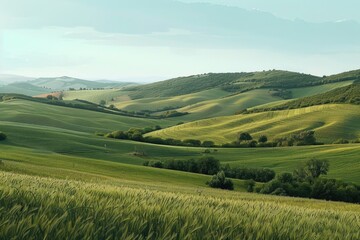 Fototapeta premium Lush green grass and rolling hills in the background