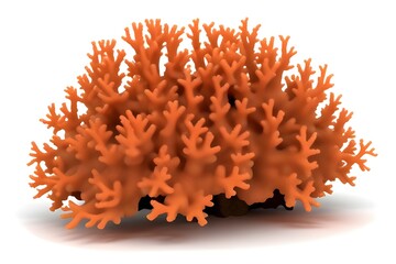 Vibrant Coral Isolated on White Background