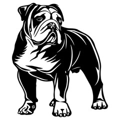 Hand drawn biodiversity background