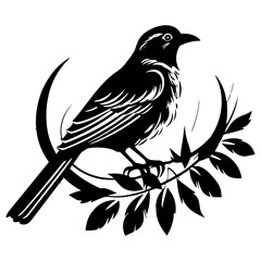 Hand drawn bird collection