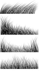 Grass brush for illustrator. Vector illustration. Sketch for creativity.