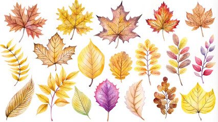 Obraz premium Watercolor Autumn Leaves Collection for Seasonal Designs and Crafts