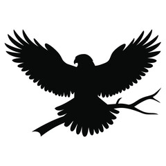 Beautiful bird silhouette vector illustration with white background