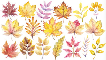 Fototapeta premium Watercolor Autumn Leaves Collection for Seasonal Designs and Crafts