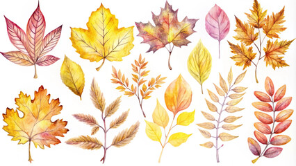 Fototapeta premium Watercolor Autumn Leaves Collection for Seasonal Designs and Crafts