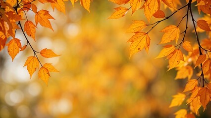 Obraz premium Close-up of vibrant autumn leaves against a blurred background, ideal for nature-themed projects, seasonal promotions, and autumn designs.