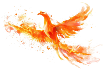 burning phoenix with orange flames isolated on white or transparent png