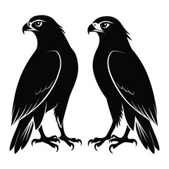Two eagle silhouette bird are sitting together with white background