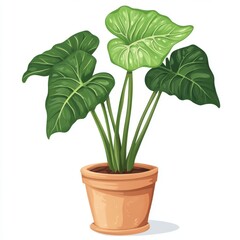 vector graphic of a potted elephant ear plant