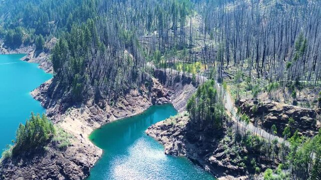 Drone aerial landscape of Cougar reservoir dam lake with forest trees Oregon National Parks USA America nature South Fork McKenzie River Terwilliger travel tourism nature