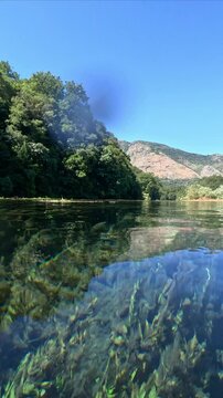 Blue eye river, Albania. Fairy magical river with Turquoise and green water in Muzine, Finiq, Albania, Europe. Vertical