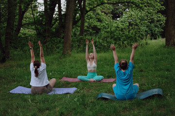 overweight women do yoga in the park. Fat girls go in for sports. Group sports activity. Women in...
