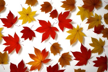 Autumn Leaves Falling Isolated on White Background