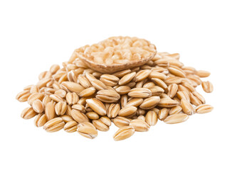 a pile of oats with a single piece of food