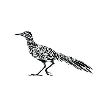 recommend clip art: Roadrunner bird made by simple botanical drawing, black and white animal illustration