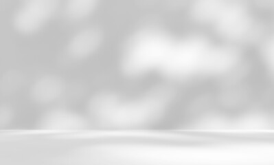 Empty white room studio with leaves shadow overlay effect for product presentation display. Cosmetic beauty fashion showroom. Morning sunlight through the window. Minimal Mock up interior background.	