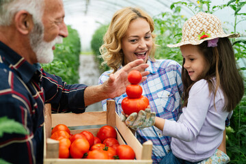 Grandfather growing organic vegetables with family at bio farm. People healthy food concept