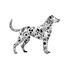 Fototapeta premium dalmatian dog made by simple botanical drawing, black and white animal illustration black and white animal illustration