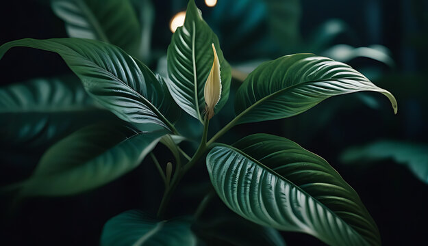 intricate botanical illustrations showcase ornamental designs blend beauty nature artistic detail elegance timeless aesthetic