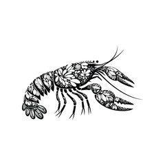 Crayfish made by simple flower drawing, black and white animal illustration
