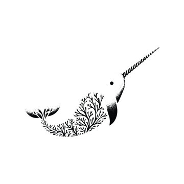 recommend clip art: Narwhal made by simple botanical drawing, black and white animal illustration