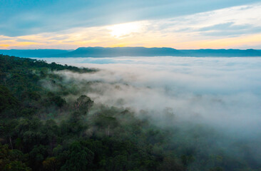 Fototapeta premium Mountain Range Covered in Dense Forest and Fog