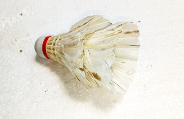 Badminton Ball or Shuttlecock