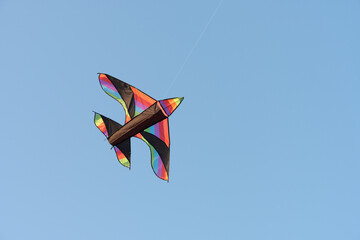 View to the flying kite in the blue sky. The kite has shape of bird or airplane and colourful body. Great experience for kids and adults. 