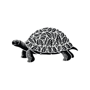 recommend clip art: tortoise reptile made by simple botanical drawing, black and white animal illustration