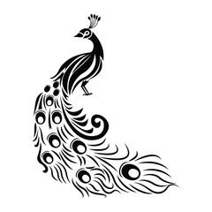 Vector peacock design with floral style tail feathers vector