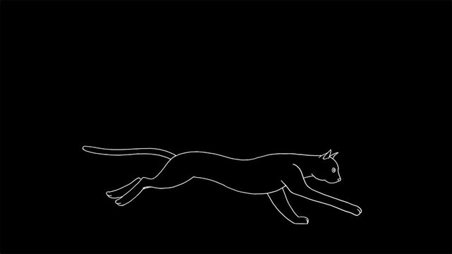 running cat white line
