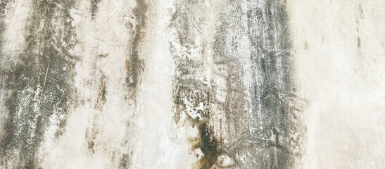 mossy cement wall