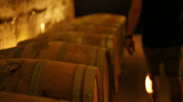 Exploring a Wine Cellar in Bordeaux