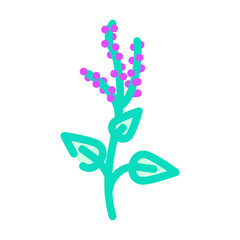 holy basil ayurvedic herb color icon vector. holy basil ayurvedic herb sign. isolated symbol illustration