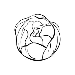 Vintage beautiful rose button, retro artwork. Romantic spring peonies flower for postcards, wedding, greeting card. Isolated. Graphic vector line, hand drawn, black silhouette for cricut