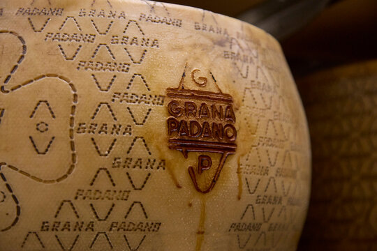 Branded Grana Padano cheese during maturation