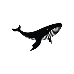 Humpback whale silhouette isolated on white background. Sea mamals icon and logo	