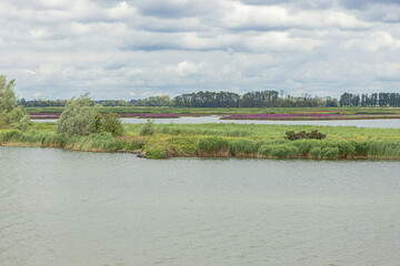 Isolated islets with grassland and reed in the Biesbosch National Park