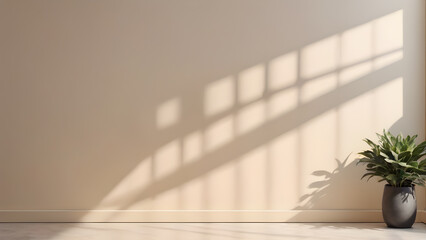 Empty room with plant and shadow on wall.