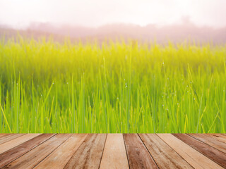 Wooden table top over green rice field in the morning.