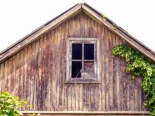 Naklejka premium An attic window with broken glass under the roof of an abandoned wooden rural house with vine plant front view