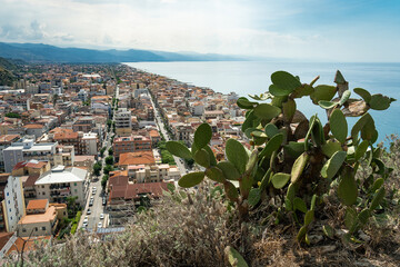 Cactus devant la vue sur Capo d'Orlando en Sicile