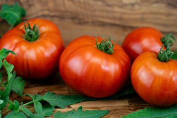 Getrocknete oder frische Tomaten  Solanum Lycopersicum 