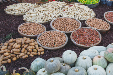 large containers with walnuts and hazelnuts, corn, pumpkins and potatoes outdoors, harvest concept, close up