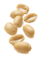 Big peeled peanut group set isolated on white background. Vertical layout