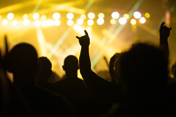 Crowd at concert and colorful stage lights.