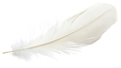Obraz premium Realistic photo of a soft white feather accessories accessory jewelry.